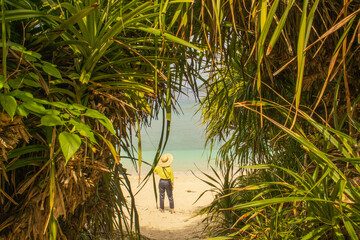 person walking on the beach with trees