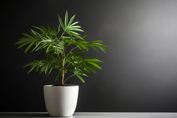 Houseplant, shrub in a flowerpot on table or floor, blank grunge grey concrete wall background with copy space for text. Interior design concept. Image is AI generated.