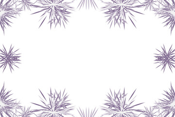淡い紫色繊細な葉っぱのデザインのフレーム素材(透過)