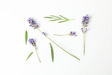 Concept of cozy with flowers, beautiful lavender flowers © Atlas