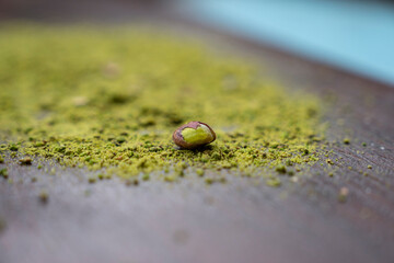 Ramadan Cuisine Background Photo, Traditional Turkish Antep Pistachio in the Pistachio Powder Photo, Üsküdar Istanbul, Turkey