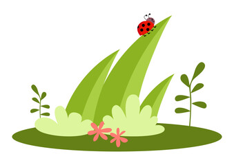 Ladybug on a green leaf in the garden