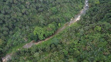 Aerial view of a small mountain river. Mountain river flows along the bottom of the gorge among the jungle.