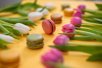 Pink and white tulips with colorful macarons on a yellow background