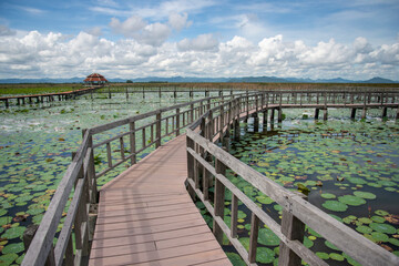 Obraz premium THAILAND PRACHUAP SAM ROI YOT LOTUS LAKE