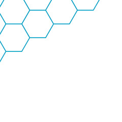 Outline Hexagon corner