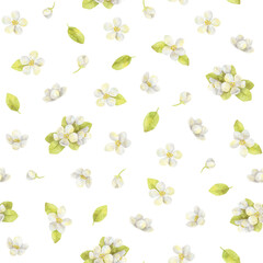 Pattern with white spring flowers. Watercolor hand-drawn seamless texture with apple tree flowers on white background