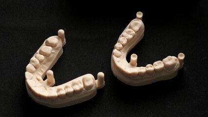 Jaws with teeth printed on a 3D printer. Jaw model created using photopolymer