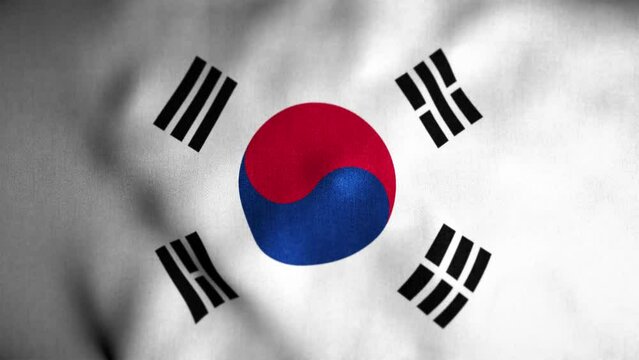 South Korea Looped Flag