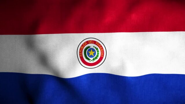 Paraguay Looped Flag