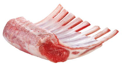 Australian lamb rack cutlets on white background or Raw Frenched Rack 8 Ribsisolate on white PNG File.. © KT Studio