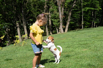 Little girl playing with her pet dog Jack Russell Terrier in park.