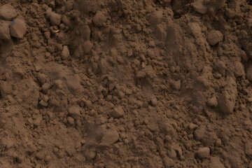 Soil Texture, made with generative AI 