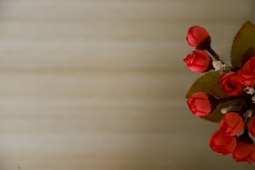 camellia sweet flowers ready to bloom are placed in a bottle vase
