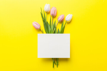 Composition with blank card and beautiful flowers tulip on coloredbackground. top view with space for you desing