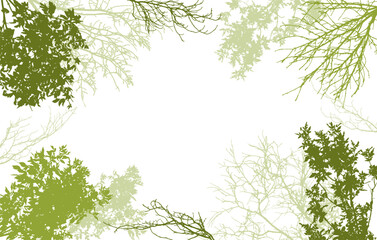 Deciduous and bare branches of trees silhouette, background. Vector illustration