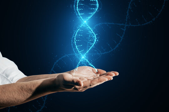 Close up of male hands holding glowing DNA helix hologram on dark background. Medicine and bioengineering concept. - Powered by Adobe
