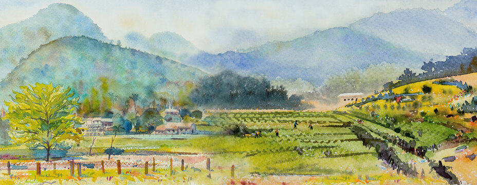 Village and rice field, farmer farm with mountain paintings illustration.