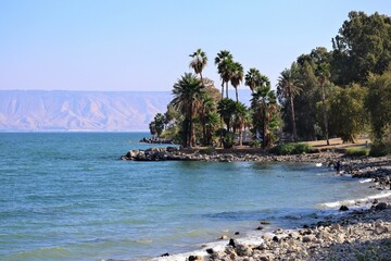 Fototapeta premium Scenic aerial view of green tropical trees on the shore of Kineret lake in Tiberias, Israel