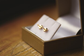 Selective focus shot of gold earrings in jewelry box on blurry background