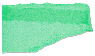 Isolated cut out torn piece of blank green paper cardboard with texture and copy space for text, top view from above on white or transparent background
