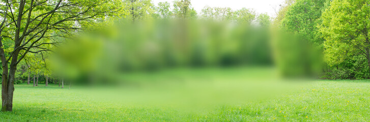 Naklejka na ściany i meble Spring Meadow Texture Background, Green Spring Landscape with Copy Space, Meadow Banner