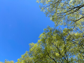 清々しい青空を仰いで深呼吸