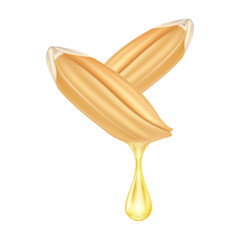 Rice bran oil dripping from paddy ear rice seed realistic. Icon 3D file PNG for food product design. Vegetarian organic ingredient for cooking. Oil drop extract shiny golden yellow.