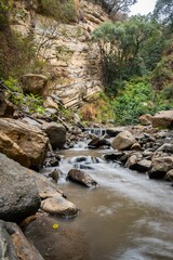 Long exposure of a river in a green forest