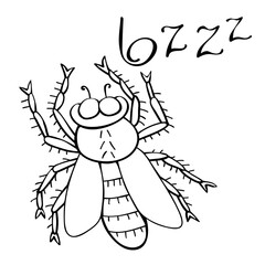 Vector black outline fly in doodle sketch style. Top view. Black and white drawing insect. Clipart, design element on theme of nature, spring, summer, isolated