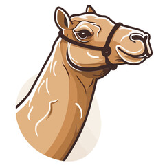 Camel vector