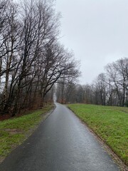 Fototapeta na wymiar Teutoburger Wald - Rund um Augustdorf