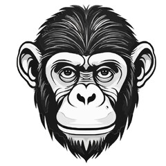 Chimpanzee vector