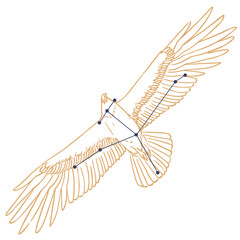 Constellation Aigle © Claire