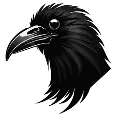 Crow vector