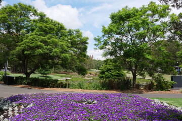 Victoria Park in Sydney