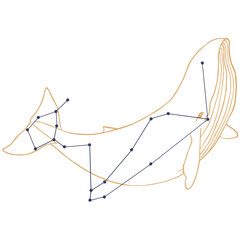 Constellation Baleine