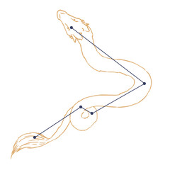 Constellation Hydre M&acirc;le