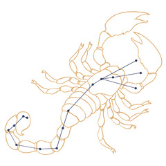 Constellation Scorpion