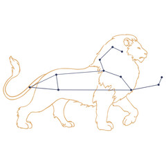 Constellation Lion