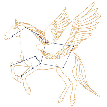 Constellation P&eacute;gase
