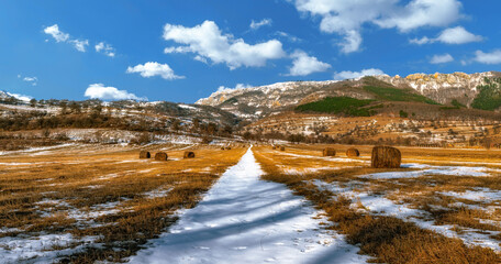 Early countryside spring landscape with snow on agricultural land - 589126769