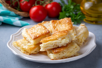 Delicious Turkish Tray pastry, Su boregi with cheese. Adana borek.