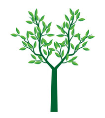Shape of Green Tree with fresh Leaves. Vector outline Illustration. Plant in Garden.