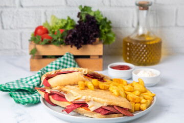Delicious looking hot sandwich - toast. Sandwich with mixed toast, cheddar cheese and salami.