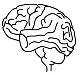 brain line icon