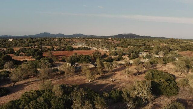 Beautiful Aerial View Of The Mojave Desert On A Summer Day