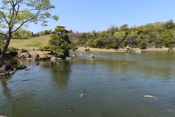 A scene of Nihon-teien Japanese Garden in Expo' 70 Commemorative Park in Suita City in Osaka Prefecture 大阪府吹田市にある万博記念公園の日本庭園の風景