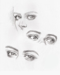 eyes sketch in woman face pencil drawing for card decoration illustration