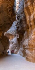 Vertical shot of a cart passing by a narrow path in between the walls of Petra Canyon, Jordan